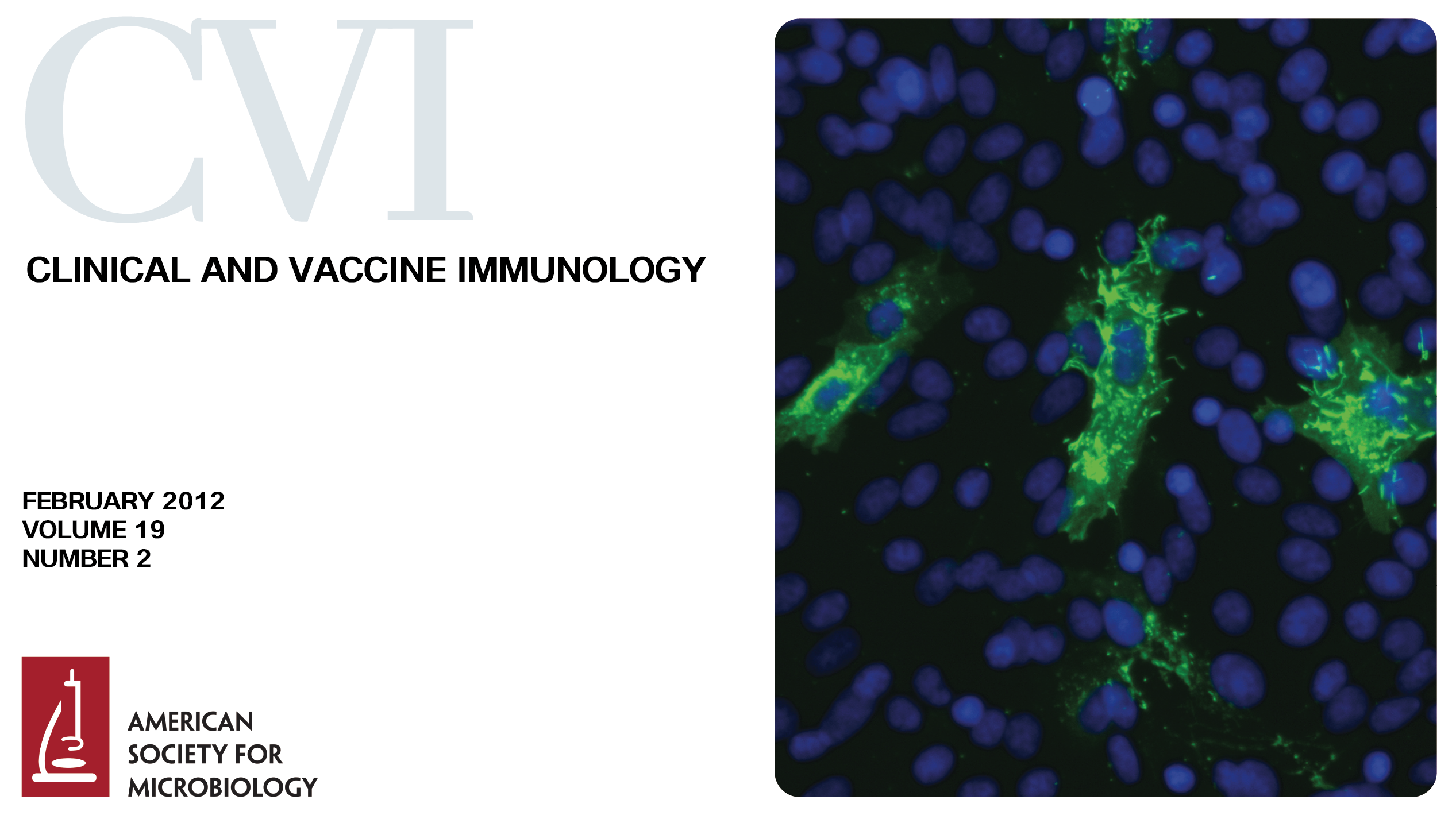 Use of Pre-S Protein-Containing Hepatitis B Virus Surface Antigens and a Powerful Adjuvant To Develop an Immune Therapy for Chronic Hepatitis B Virus Infection
